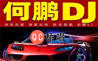 DJ何鹏舞曲高清MP3打包